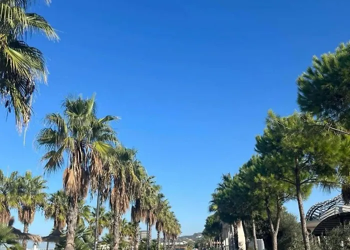 Albania Dream Holidays G * 格勒姆